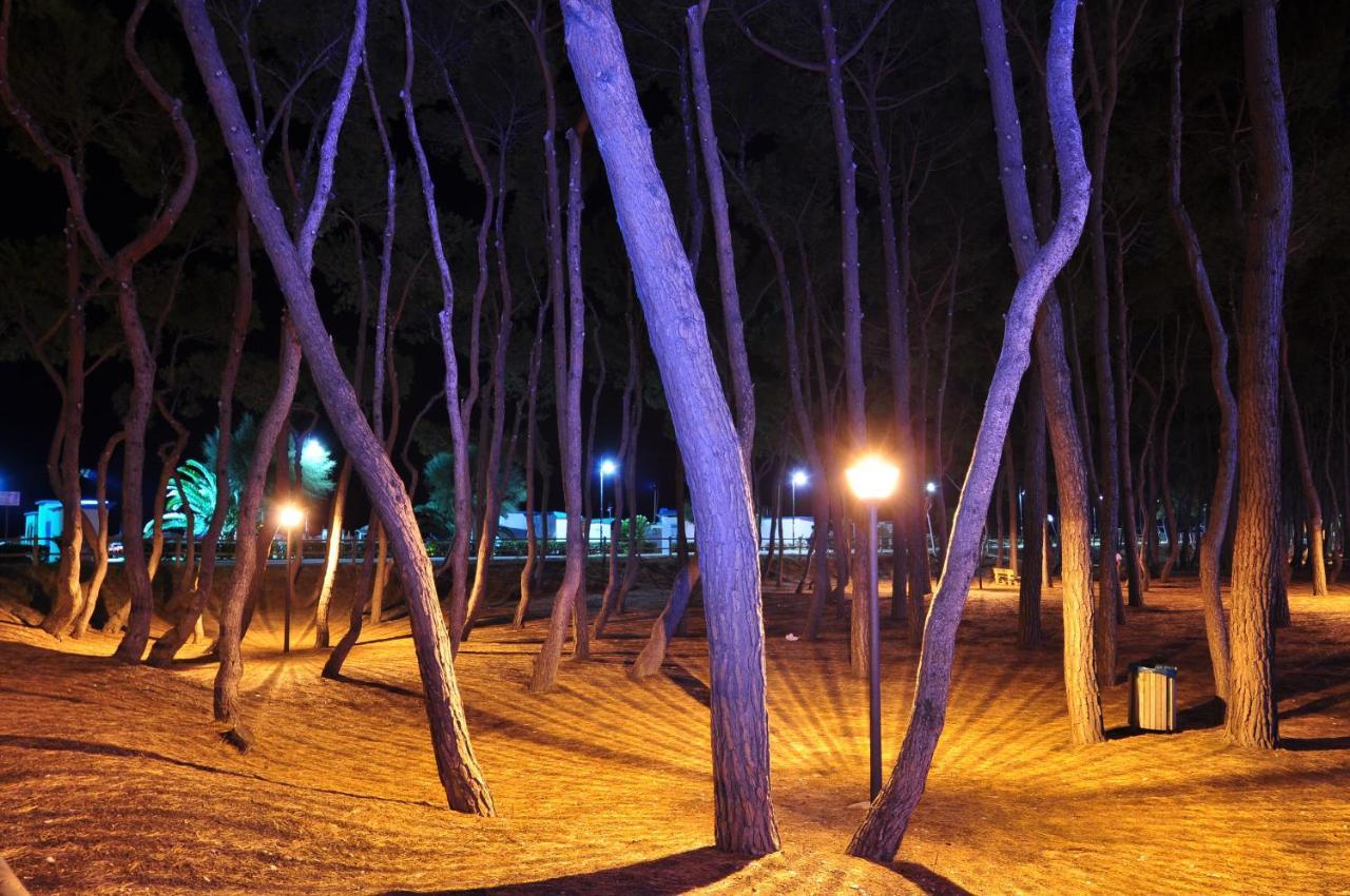 Ostello La Stazione Alba Adriatica Extérieur photo